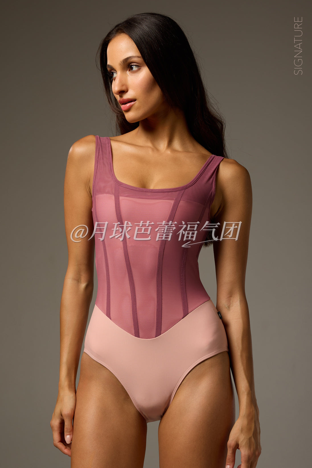 SOFIA LEOTARD | SIGNATURE MEXICAN ROSE MACARON / NOUGAT FROST / ASH PRUSSIAN BLUE / BON BON UMBER / TWILIGHT OBSIDIAN