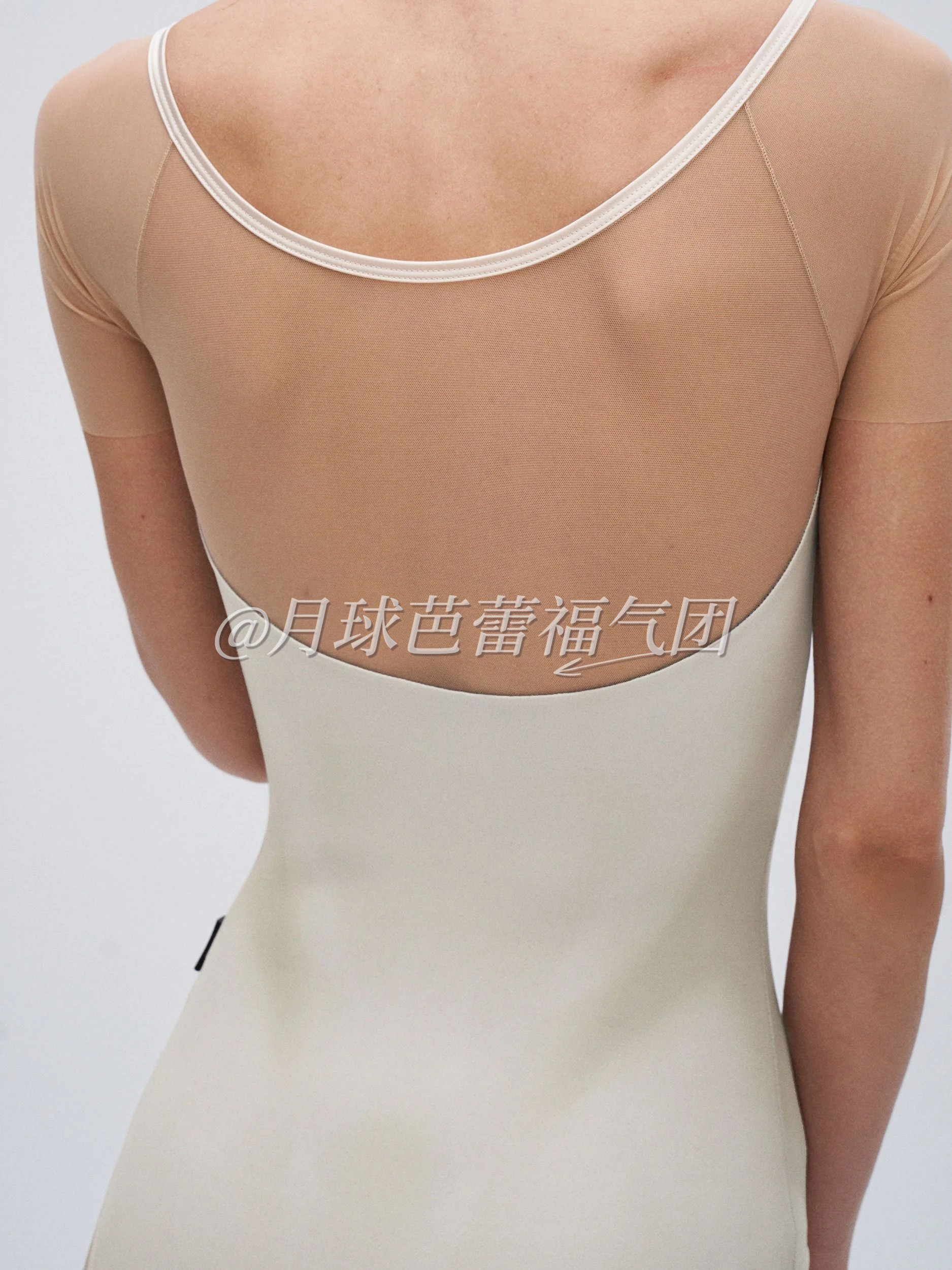 Ivory Shadow - R1 商品图片 4