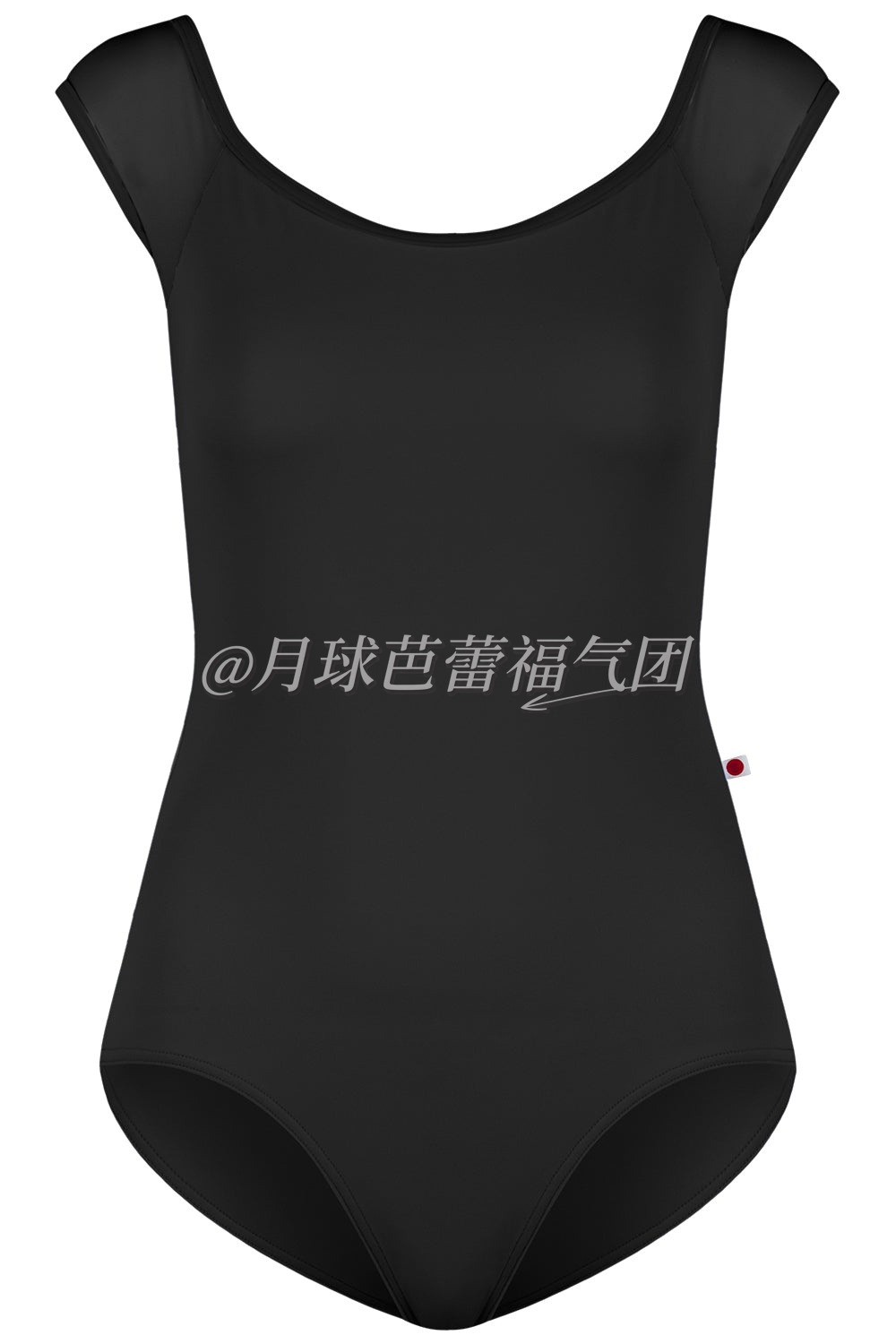 Wendy-Kids Basics 儿童